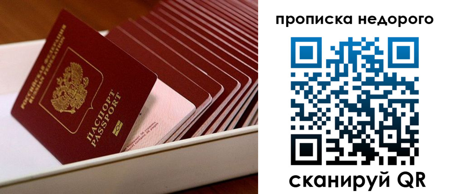 прописка паспорт в Болотном